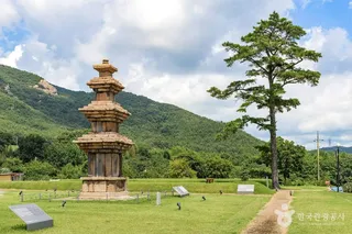 월남사지