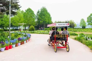 구리한강시민공원(코스모스공원)