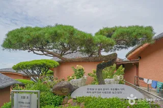 보성 골망태다원