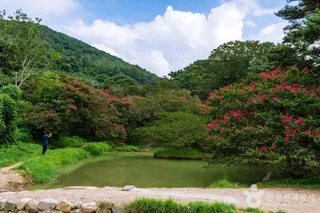담양 명옥헌 원림
