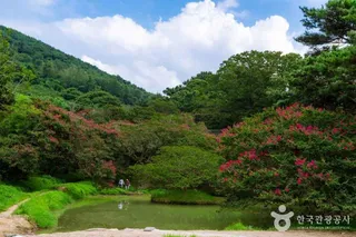 담양 명옥헌 원림