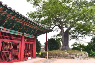 여수 타루비
