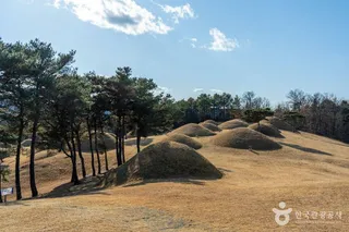 합천 옥전 고분군