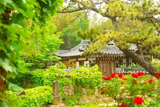 쌍산재