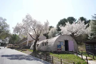 캠프 그리브스