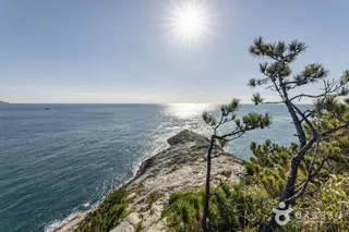 연도(여수)