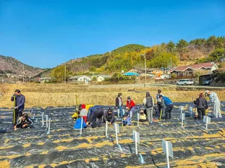 삼거동 청사초롱 체험마을