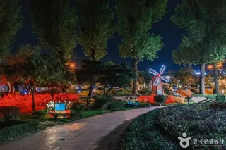 보강천미루나무숲