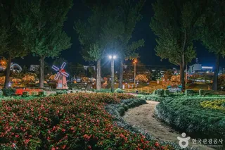 보강천미루나무숲