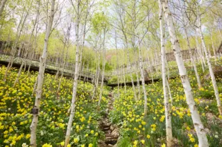 화담숲