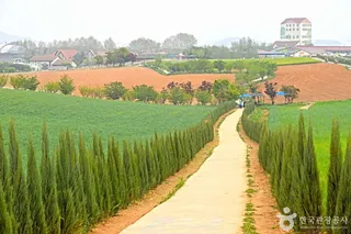 안성팜랜드