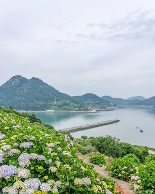 힐링파크 쑥섬쑥섬(애도)