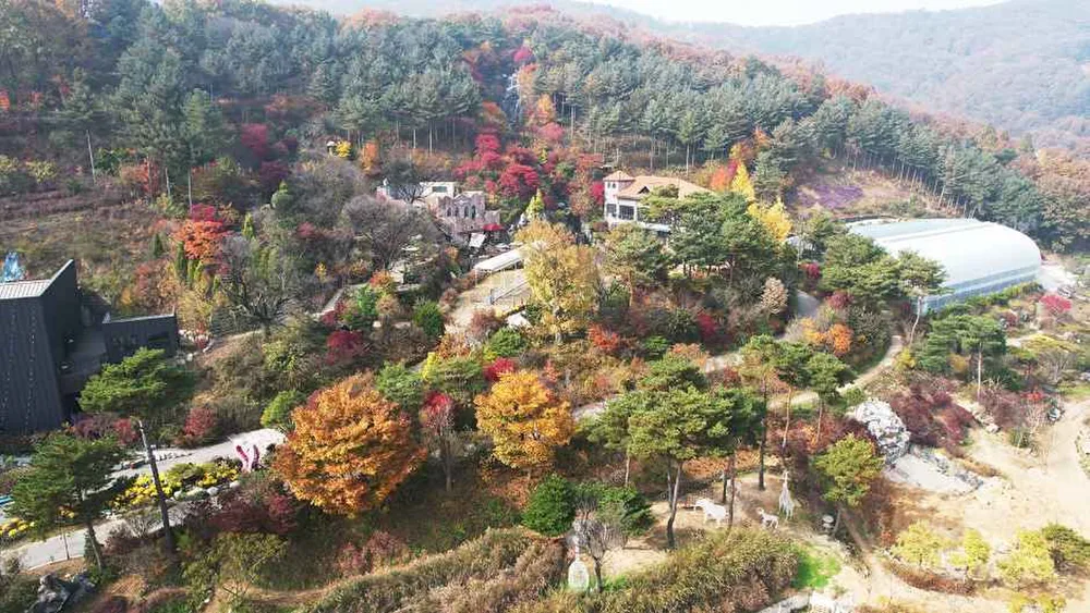 아름다운정원화수목