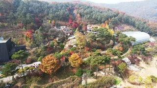 아름다운정원화수목