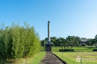 장성 황룡 전적