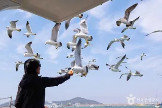 전곡항