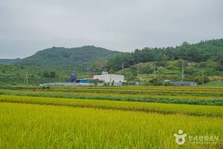 월선체험 휴양마을
