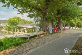 담양국수거리