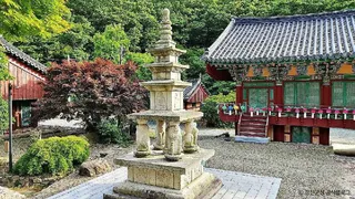 정수사(강진)