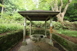 국립장성숲체원