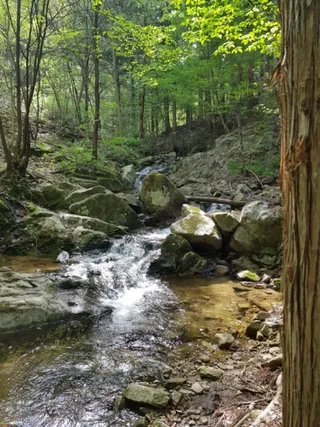 국립장성숲체원