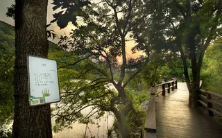 국립칠곡숲체원