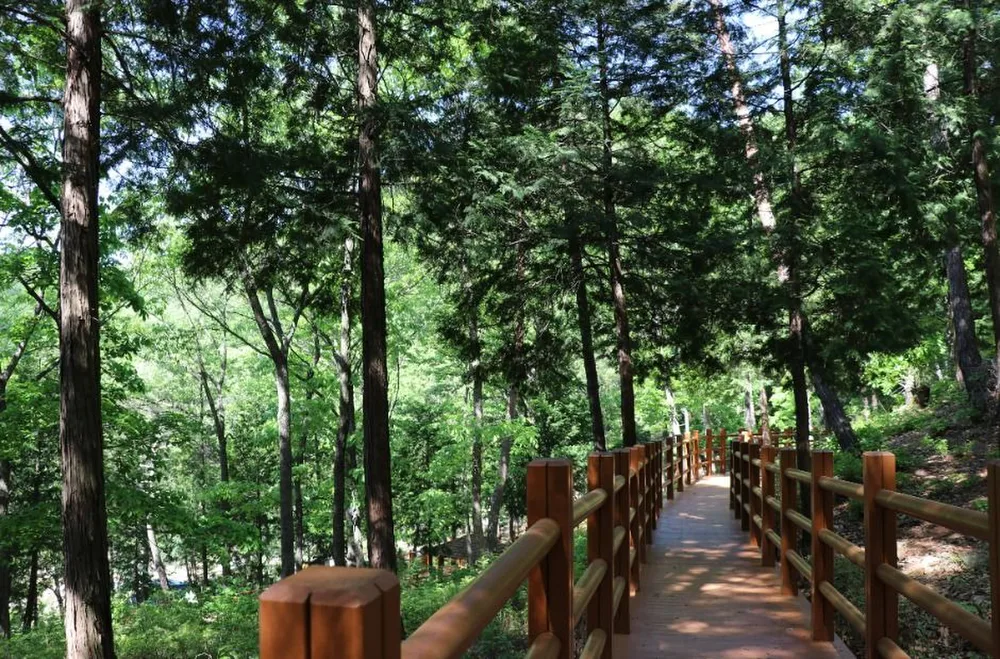 국립대운산치유의숲