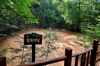국립대운산치유의숲