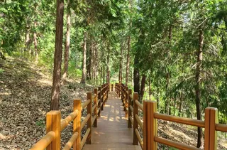 국립대운산치유의숲