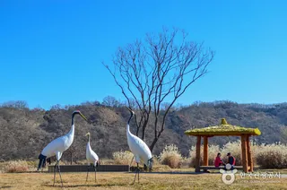 임진강평화습지원