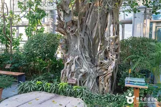 경주 동궁원