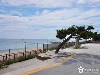 정동진역