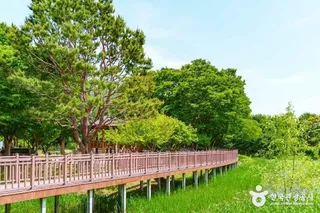 바람새마을 소풍정원