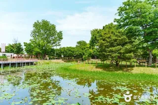 바람새마을 소풍정원