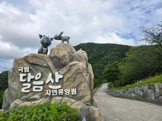 국립달음산자연휴양림
