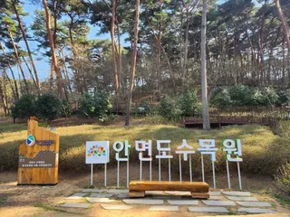 안면도수목원