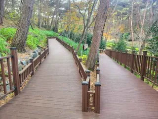 안면도수목원