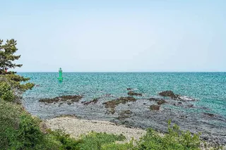 경주 양남 주상절리군