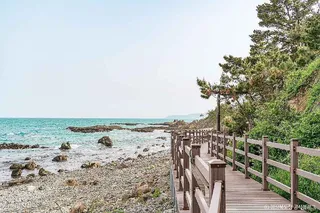 경주 양남 주상절리군