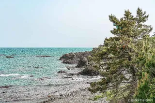 경주 양남 주상절리군