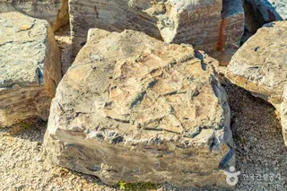 서유리 공룡화석지 (무등산권 국가지질공원)