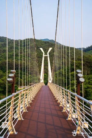 대황강출렁다리