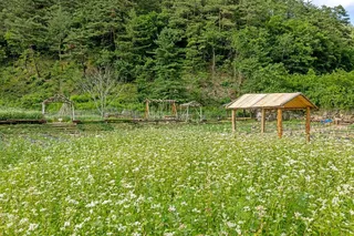 하추리산촌마을