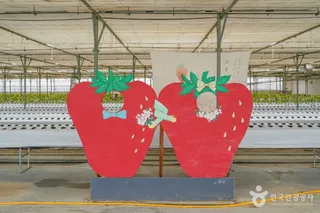 보성싱싱농원