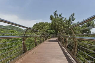 소금산 스카이워크 브릿지(소금산 출렁다리)