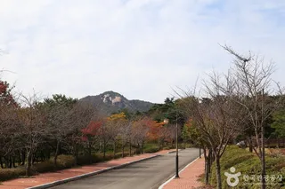 정취암 가는 길