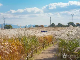 하늘공원