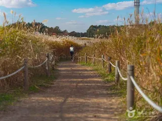 하늘공원