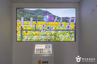 교동제비집