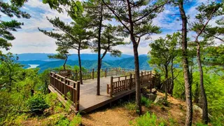 부산 치유의 숲